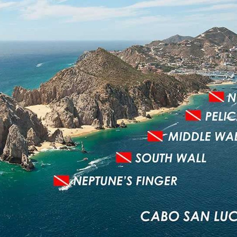Cabo Dive Sites